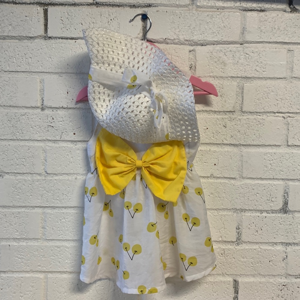EUC: Sundress and matching hat